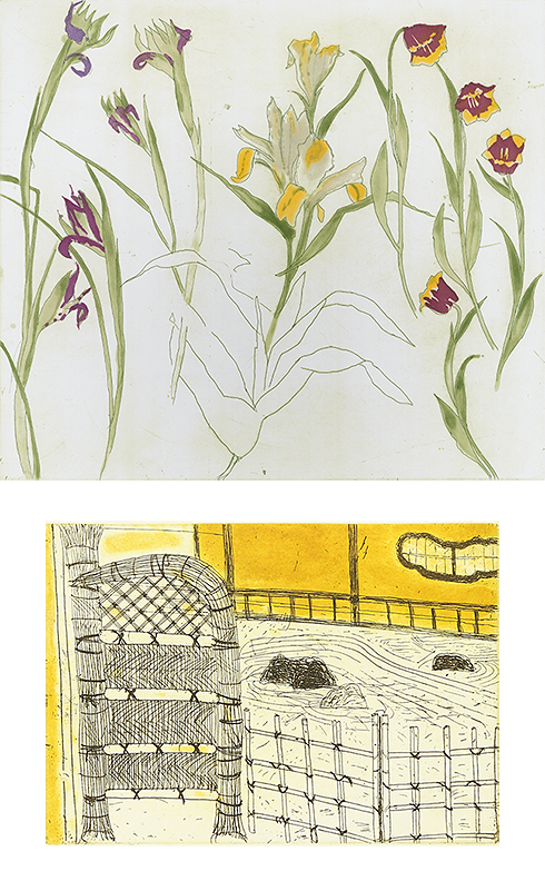 Elizabeth Blackadder